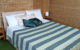 Cerami Jungle Suite